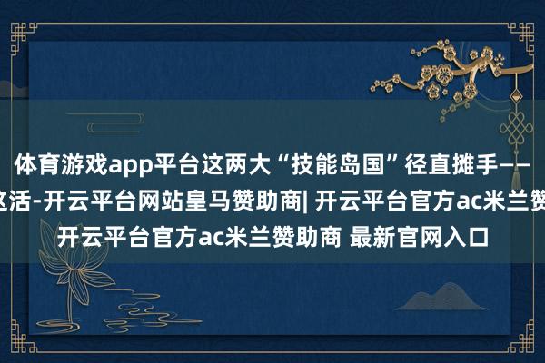 体育游戏app平台这两大“技能岛国”径直摊手——好意思国说：“你这活-开云平台网站皇马赞助商| 开云平台官方ac米兰赞助商 最新官网入口