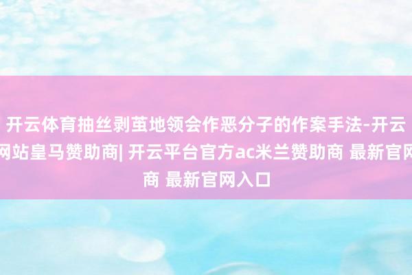 开云体育抽丝剥茧地领会作恶分子的作案手法-开云平台网站皇马赞助商| 开云平台官方ac米兰赞助商 最新官网入口