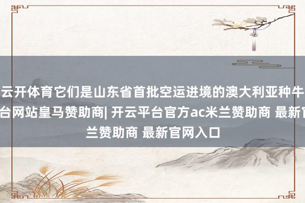 云开体育它们是山东省首批空运进境的澳大利亚种牛-开云平台网站皇马赞助商| 开云平台官方ac米兰赞助商 最新官网入口
